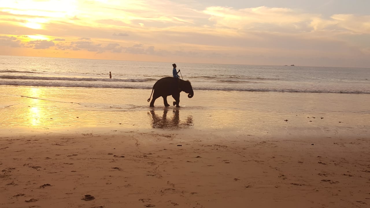 "Elefanten am Strand " Sunwing Bangtao Beach (Bang Tao Bay ...