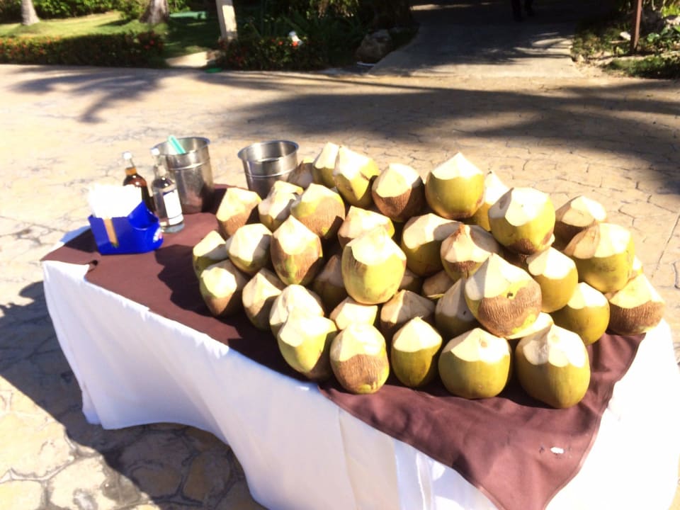 Poolanlage Drink von den Animatoren Punta Cana Princess All Suites Resort & Spa