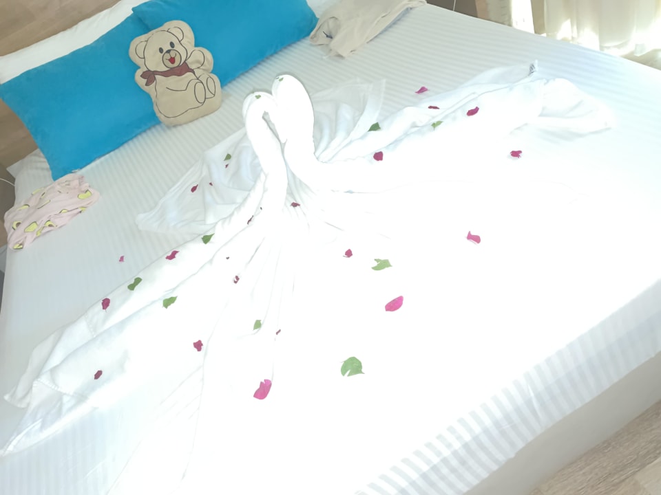 Zimmer Wyndham Garden Lara