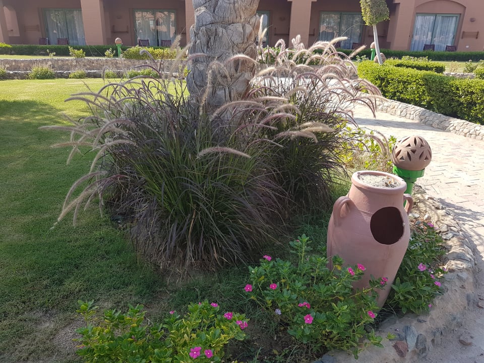 Gartenanlage Sentido Akassia Beach