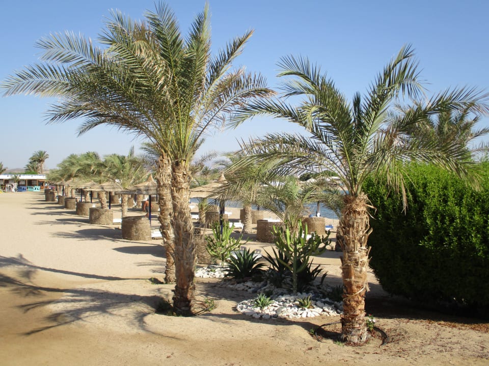 Strand Coral Sun Beach