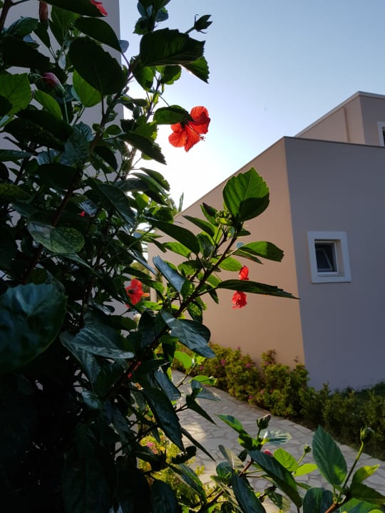Gartenanlage Hotel Esperia