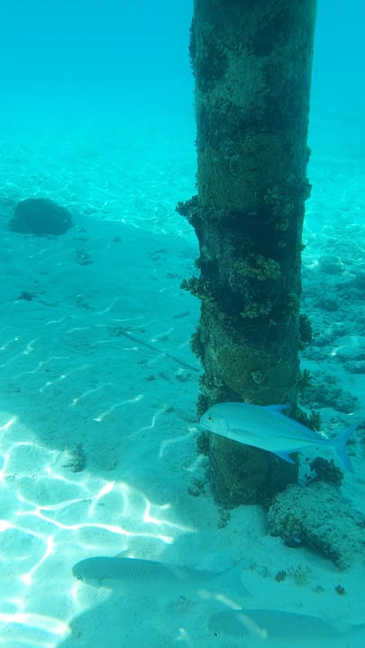 Sport & Freizeit Cinnamon Dhonveli Maldives