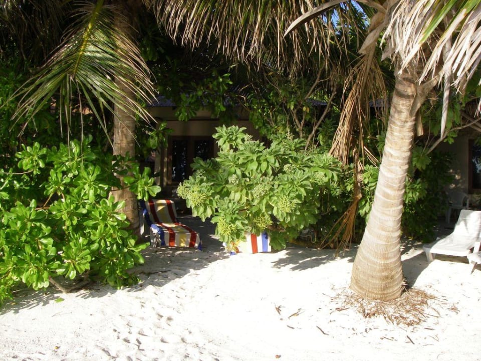 Strandbungalow Nr. 70 Summer Island Maldives