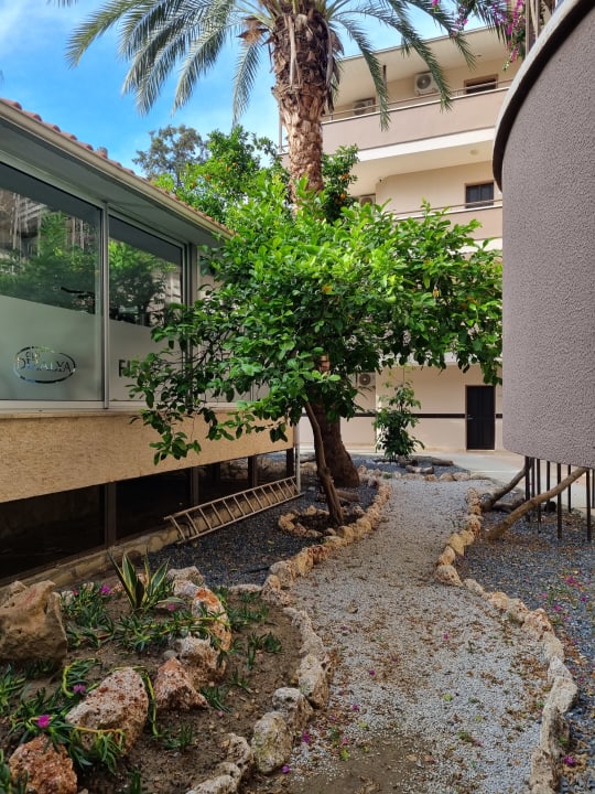 Gartenanlage Club Dizalya