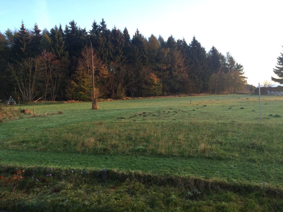 Fewo direkt am Wald Apartment Brennersgrün H
