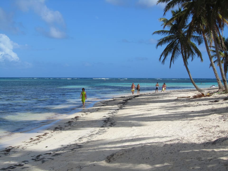 Neben dem Hotel der lange Sandstrand Catalonia Punta Cana - All Inclusive