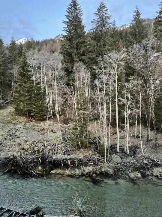 Ausblick Pension Nagelfluhhaus Hirsch