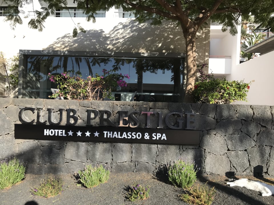 Außenansicht Hotel Costa Calero