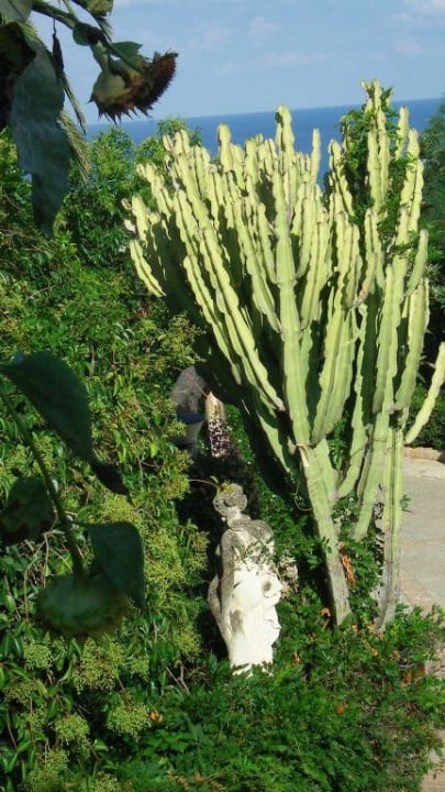 Der tropische Garten Aldiana Club Rocca Nettuno Calabria