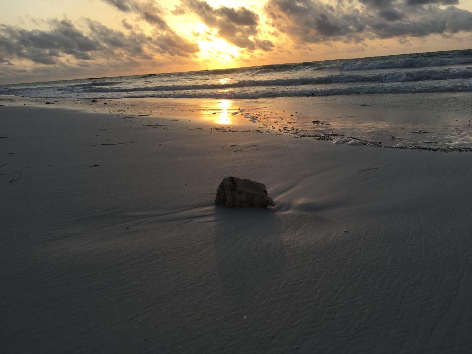 Strand Diani Sea Resort