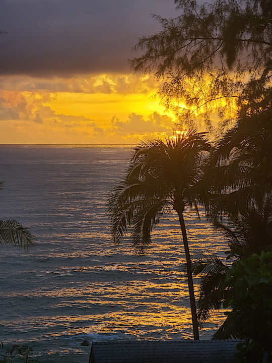 Ausblick Moracea by Khao Lak Resort