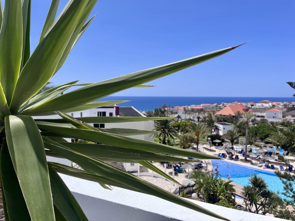 Ausblick allsun App.-Hotel Esquinzo Beach