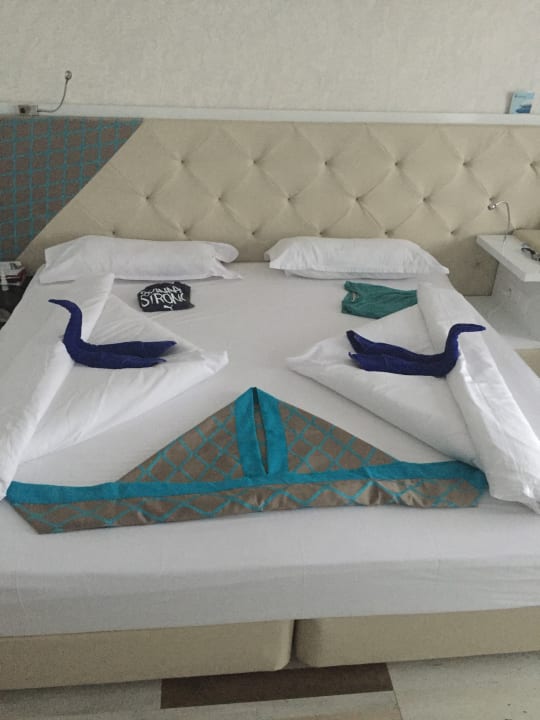 Zimmer Sentido Marea