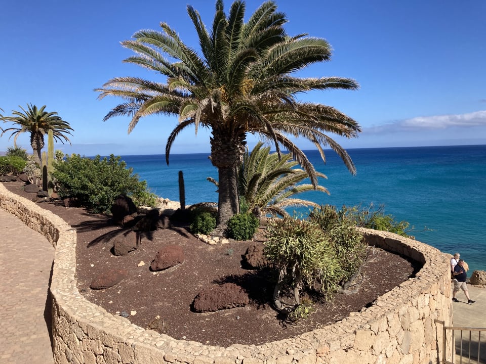 Ausblick R2 Pajara Beach