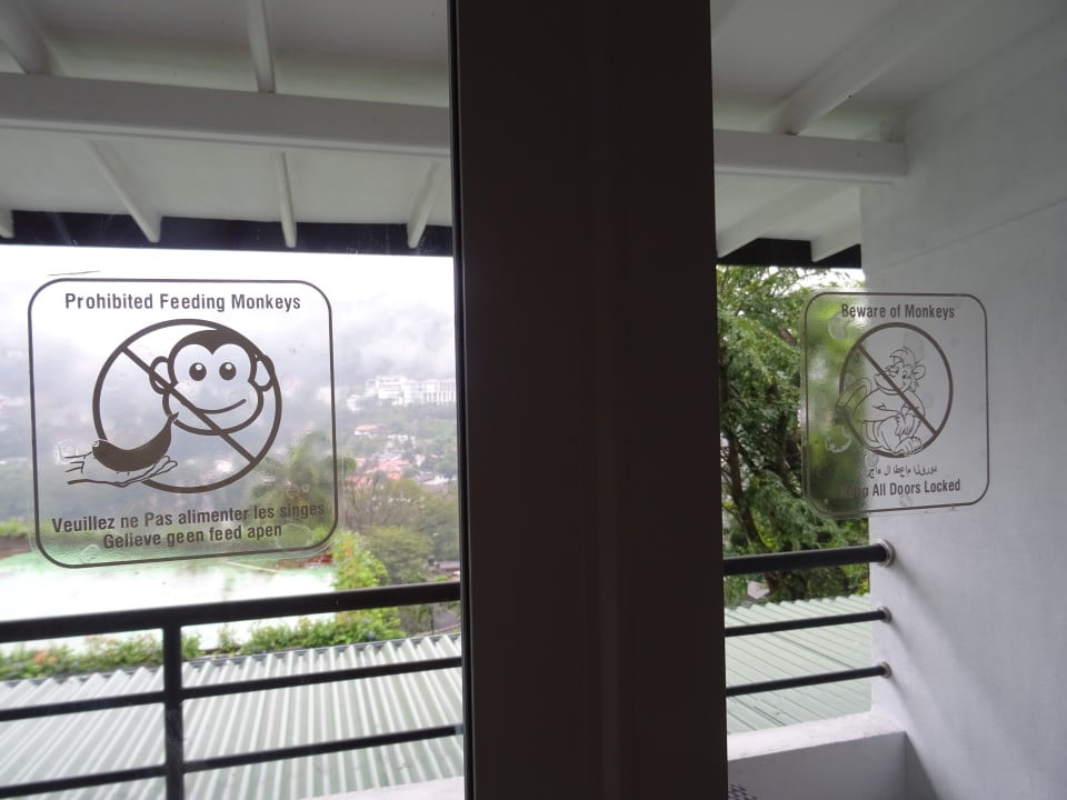 Ausblick Hotel Thilanka