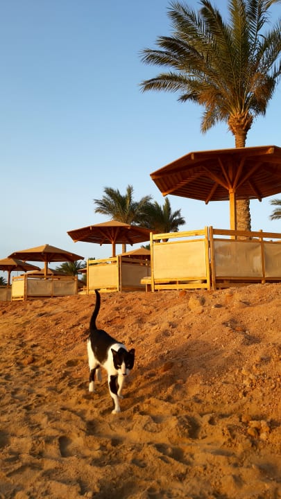 Strand Steigenberger Aqua Magic