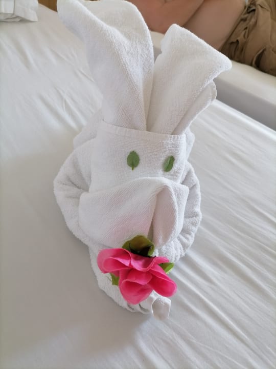 Zimmer Hotel Mena Palace