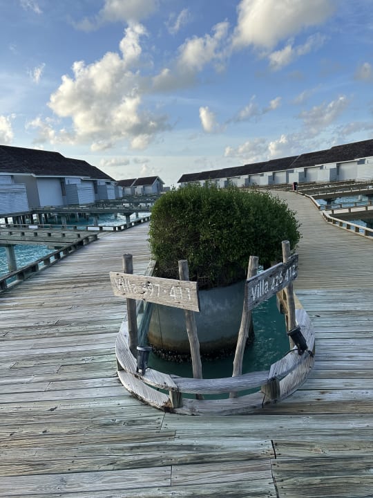 Außenansicht Kuramathi Maldives