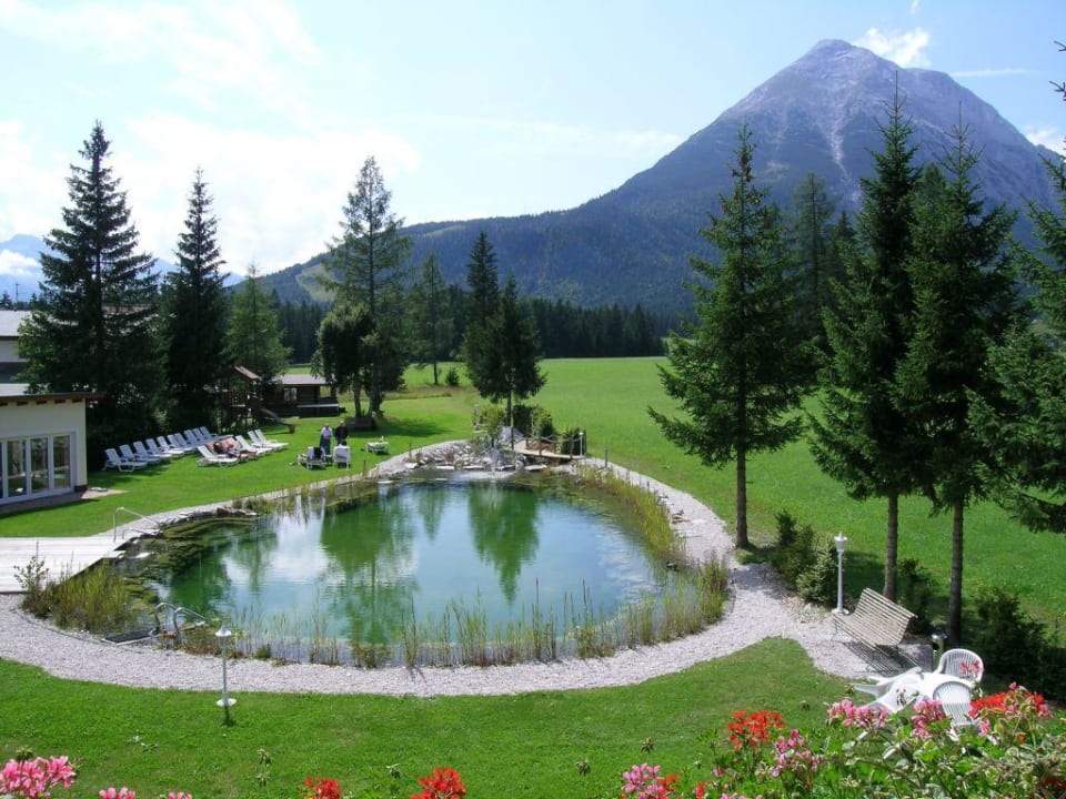 Blick auf Bioteich und Hohe Munde Alpenhotel Karwendel
