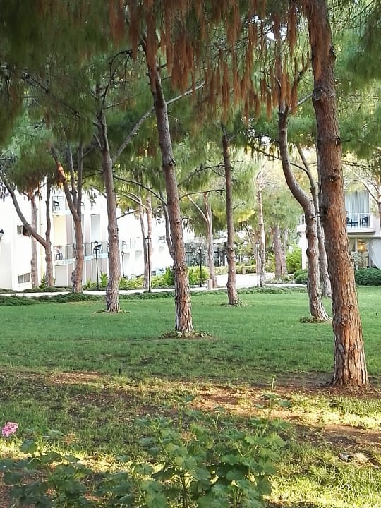 Gartenanlage Acapulco Beach Club & Resort