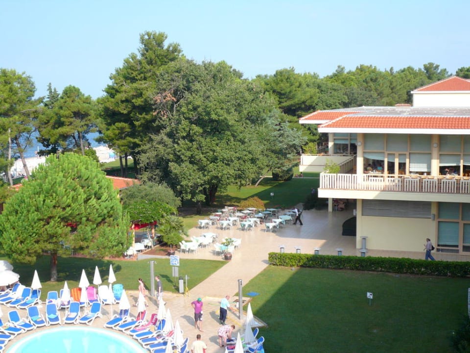 Pool Hotel Aurora Plava Laguna