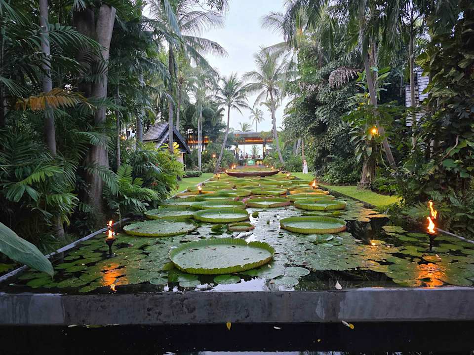 Gartenanlage Anantara Bophut Koh Samui Resort