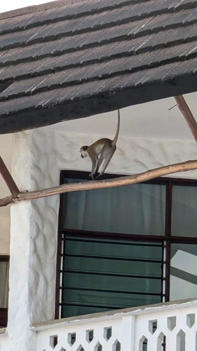 Sonstiges Travellers Beach Hotel & Club