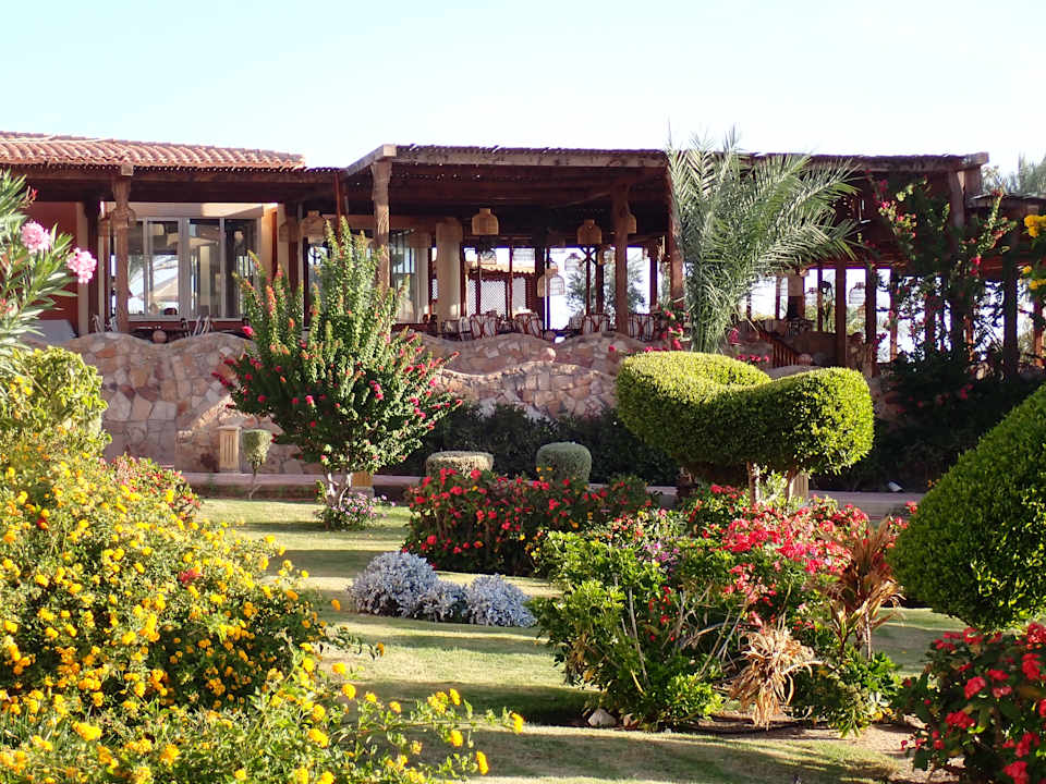 Gastro Wadi Lahmy Azur Resort