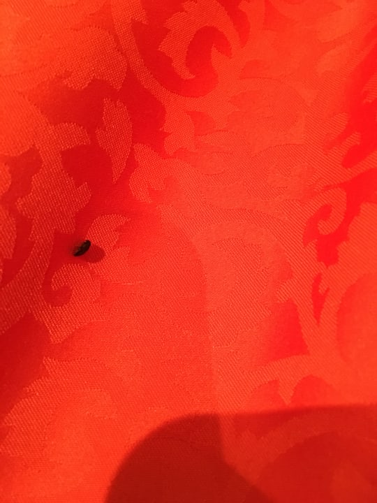 Zimmer Hotel Zur Hahnmühle