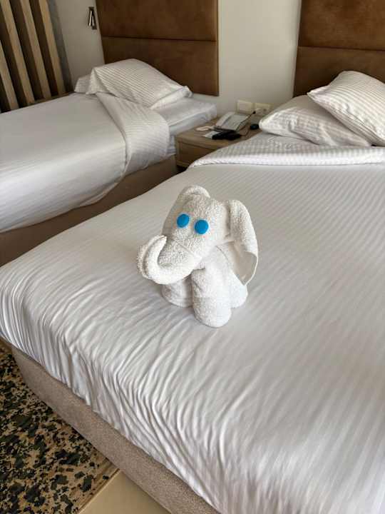 Zimmer Titanic Royal