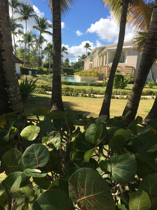 Ausblick Grand Palladium Select Bávaro Resort & Spa