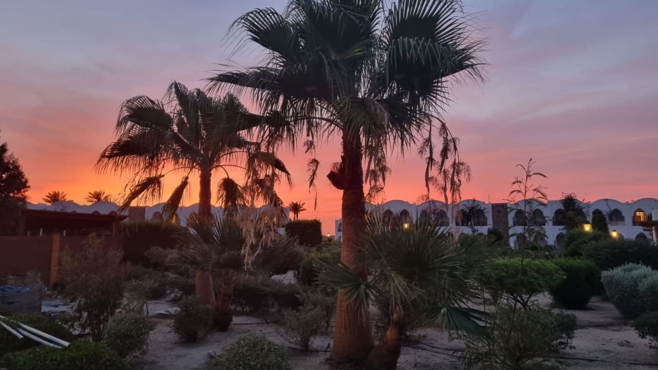 Gartenanlage Hotel Gorgonia Beach Resort