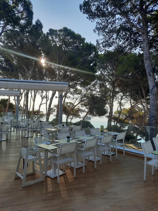 Gastro Iberostar Waves Pinos Park
