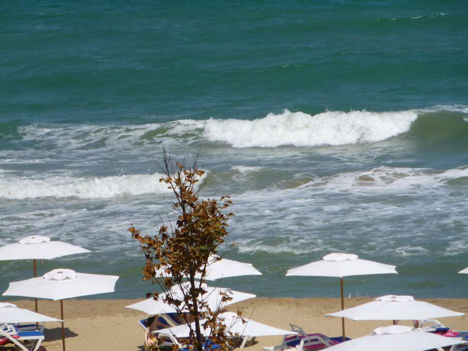 Toller Strand Sol Luna Bay