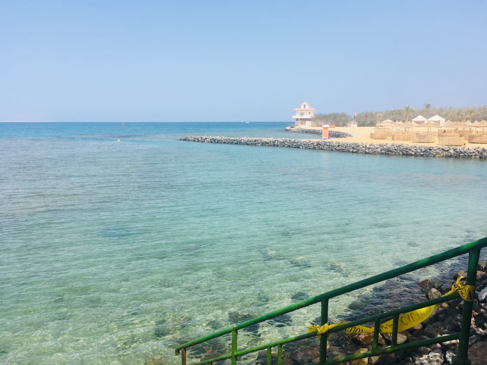 Sonstiges Desert Rose