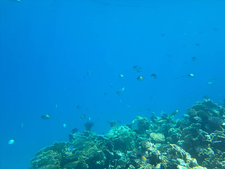 Sport & Freizeit Cleopatra Luxury Resort Makadi Bay