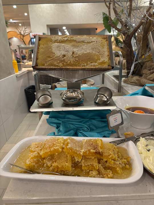 Gastro Dream Fun World