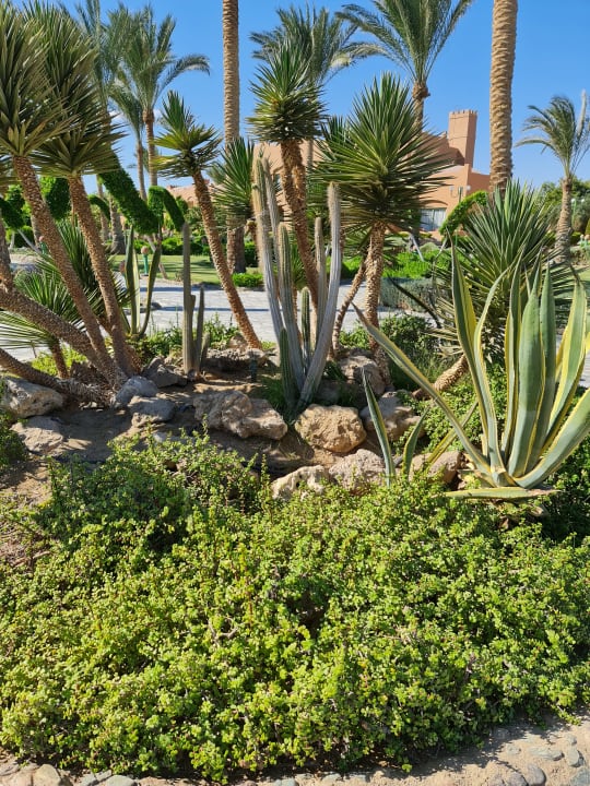 Gartenanlage Sentido Akassia Beach