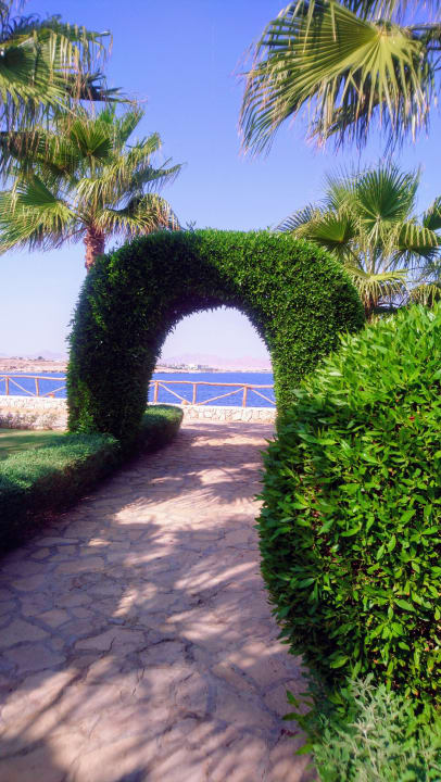 Gartenanlage Sharm Club Beach Resort