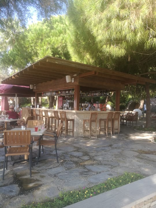 Gartenanlage Arum Barut Collection