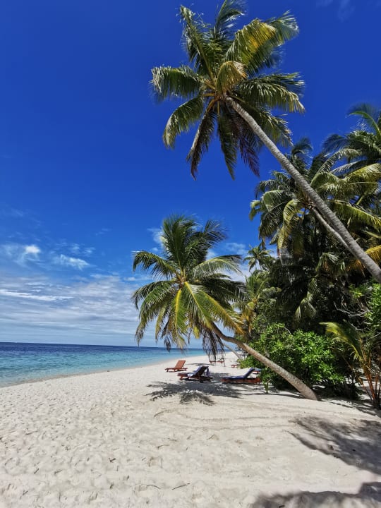 Strand Filitheyo Island Resort