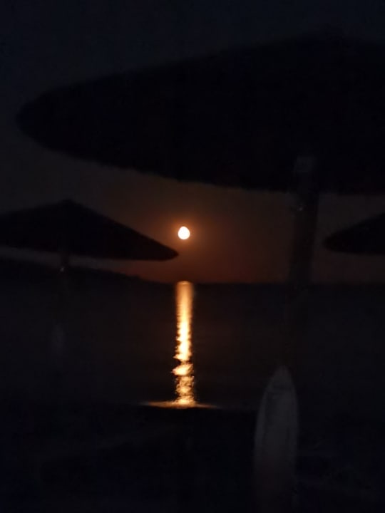 Ausblick Alexandra Golden Boutique - Adults only