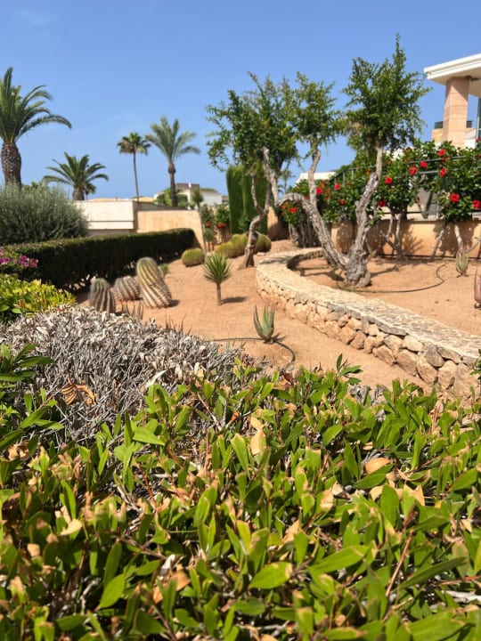 Gartenanlage TUI KIDS CLUB Punta Prima