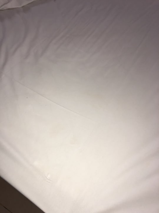 Zimmer Hotel Riu Playacar