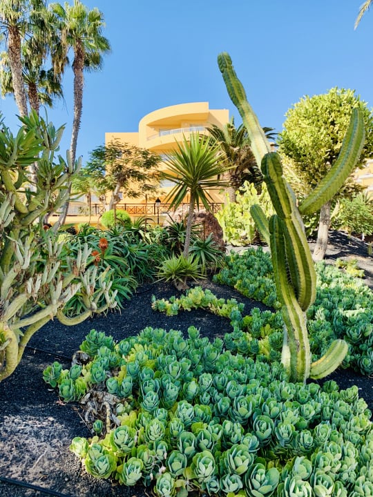 Garten SBH Costa Calma Beach Resort