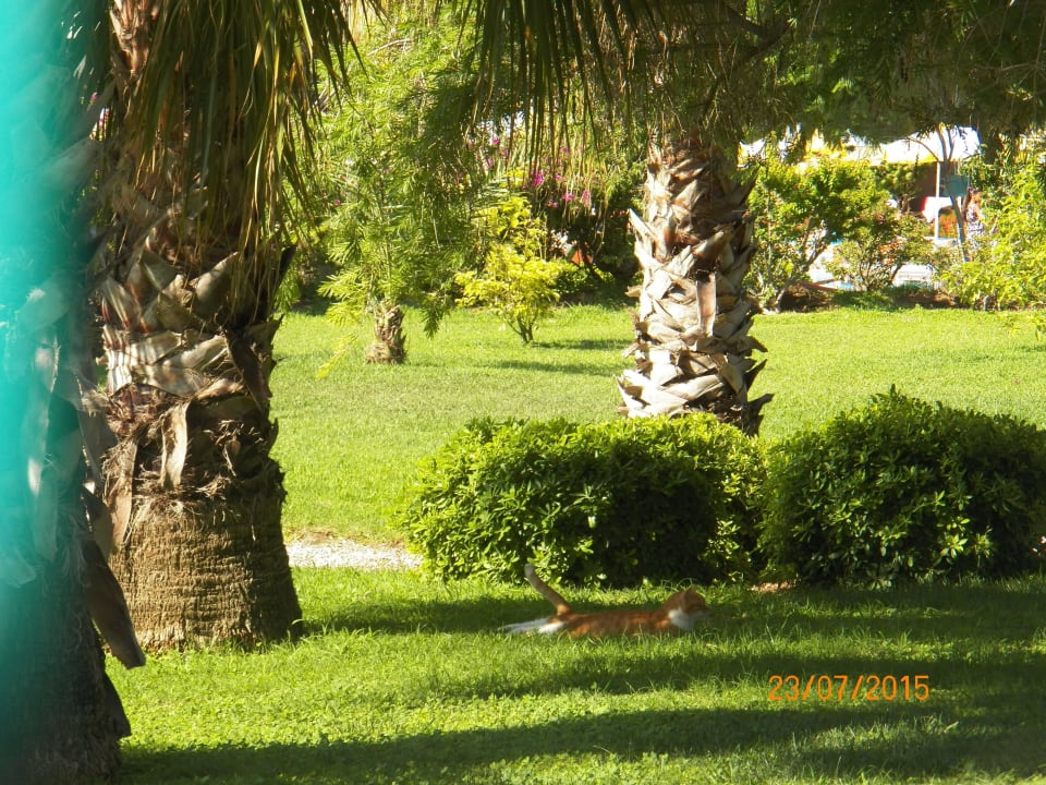 VON Resort Golden Coast VONRESORT Golden Coast