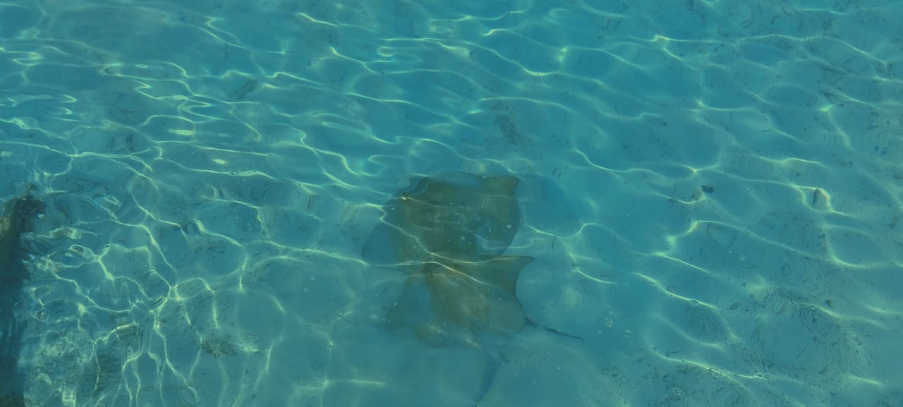 Strand Meeru Maldives Resort Island