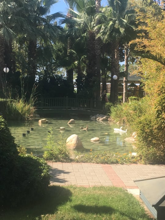 Gartenanlage  Labranda Alantur Resort