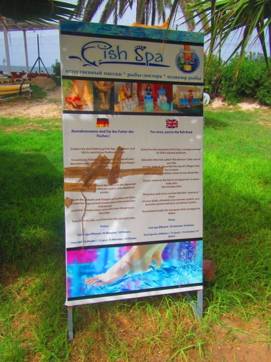 Kostenpflichtiges Fish Spa Houda Golf & Beach Club